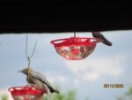 035