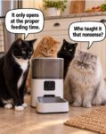 cat-feeder