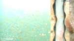 Screenshot-28084