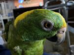 IMG_0287