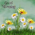 g-morning-e