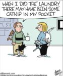 Off-the-Mark-9-2-catnip