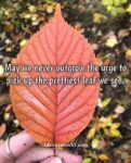 leaves