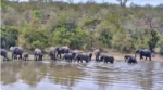Ellie-water-party