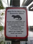 Otter-Steve-pub