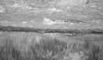 Resting-croc