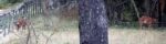 Screenshot_33