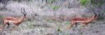 Screenshot_56