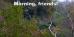 Screenshot_1