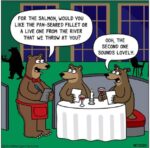 FatBear-1