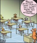 Free-Range-9-25-attention