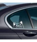peeking-cat