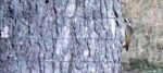 Screenshot_7