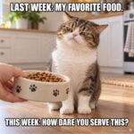 cat-ugh