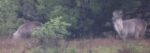 Screenshot_13