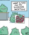Off-the-Mark-9-26-vacay