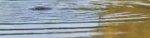 Screenshot_52