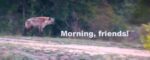 Screenshot_2