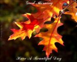 autumn-leaves_good-morning_01