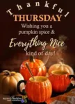 Thursday-b-everything-nice