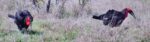 Screenshot_40
