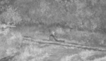 Male-Leopard-Oct-12