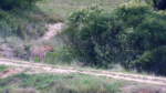 Zrzut-ekranu-63834