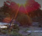 Screenshot_9