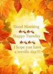 Tuesday