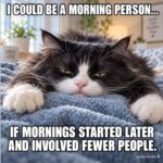 cat-morning