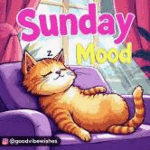 8D080DD4-AF07-4BAD-9BB1-E5CE1CDA884A