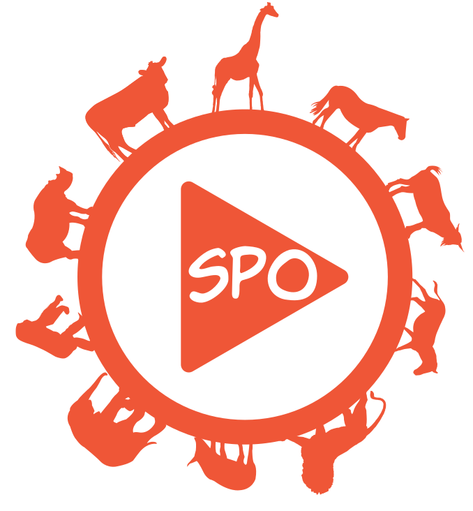 Pl.sportsmansparadiseonline.com